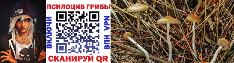 Галлюциногенные грибы ЛСД  Купить закладки  Бузулук 